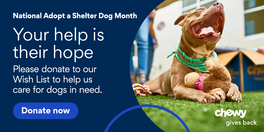 Shop at Chewy - Chewy Gives Back